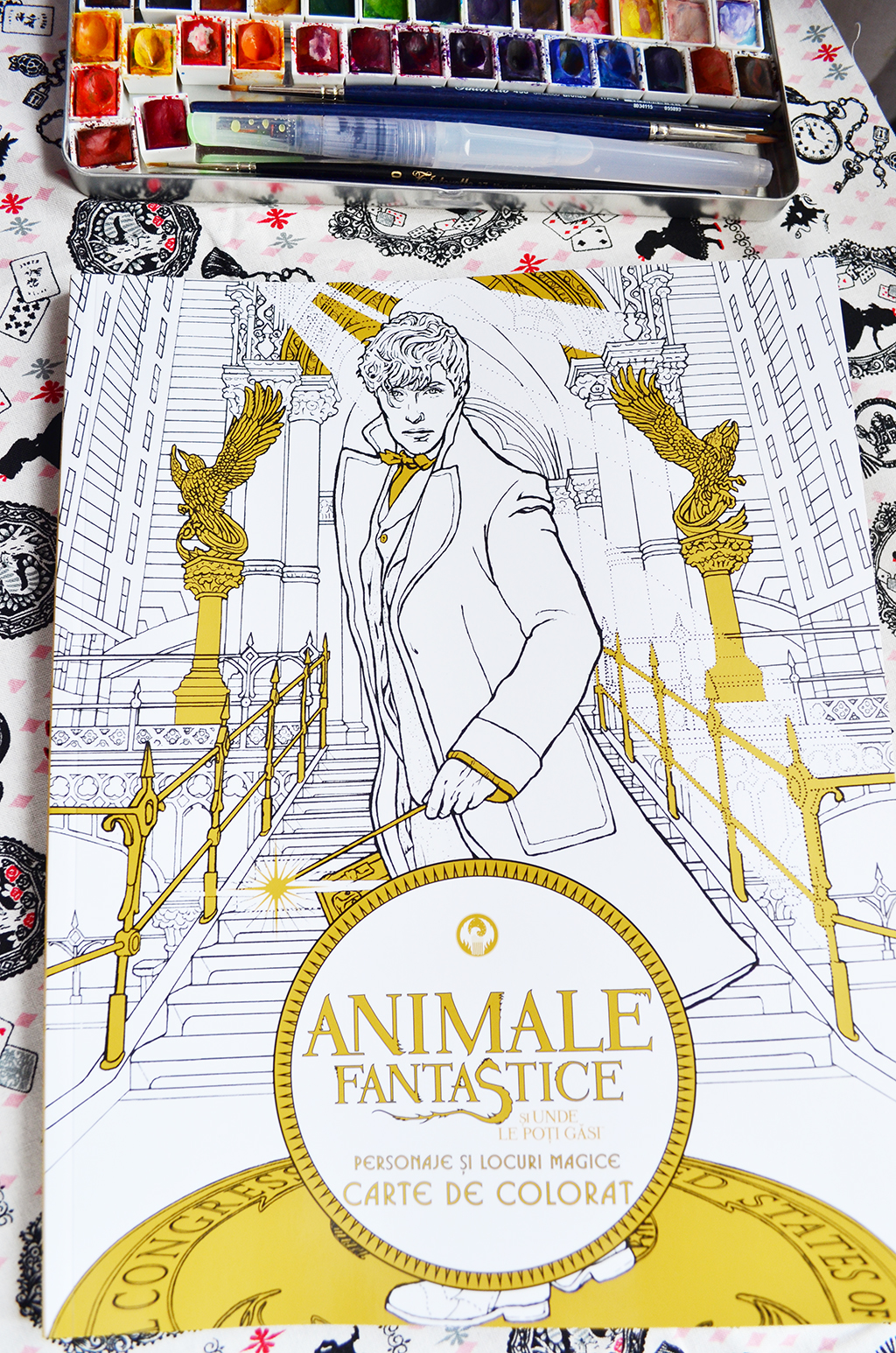 carte de colorat animale fantastice newt scamander