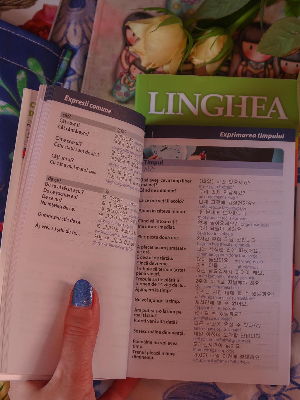 recenzie carte coreeana ghid conversatie cu dictionar si gramatica linghea husa carte loona lys